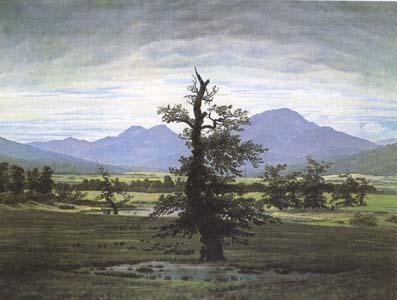 Caspar David Friedrich The Lone Tree (mk09`) France oil painting art